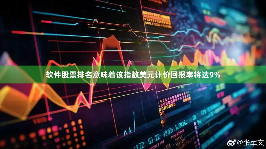 软件股票排名意味着该指数美元计价回报率将达9%