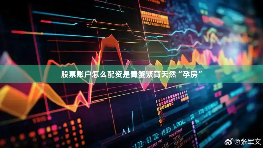 股票账户怎么配资是青蟹繁育天然“孕房”