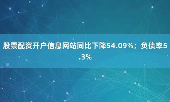 股票配资开户信息网站同比下降54.09%；负债率5.3%
