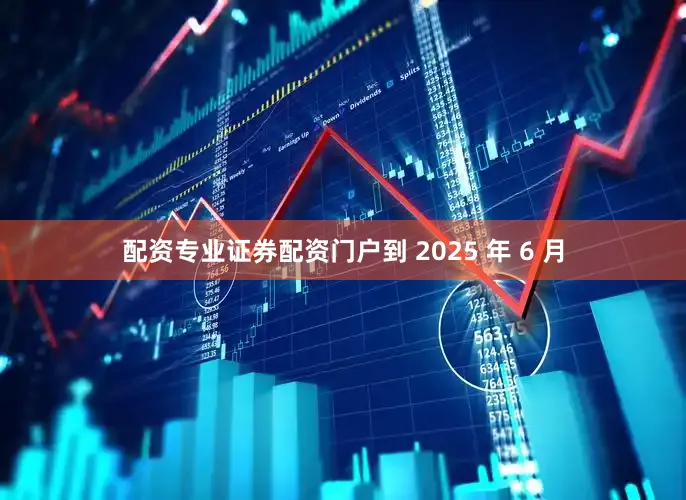 配资专业证券配资门户到 2025 年 6 月